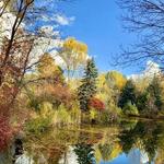 Kathryn Albertson Park
