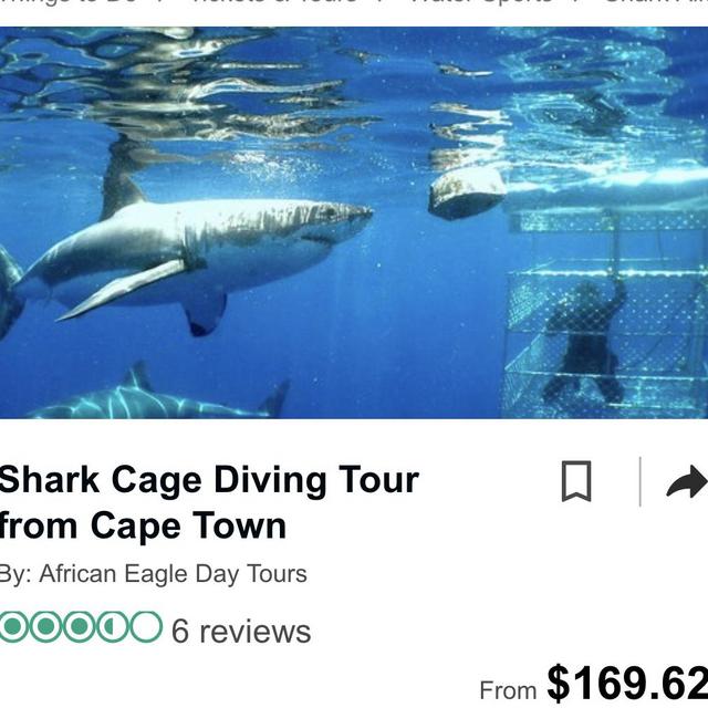 Shark Cage Diving Tour