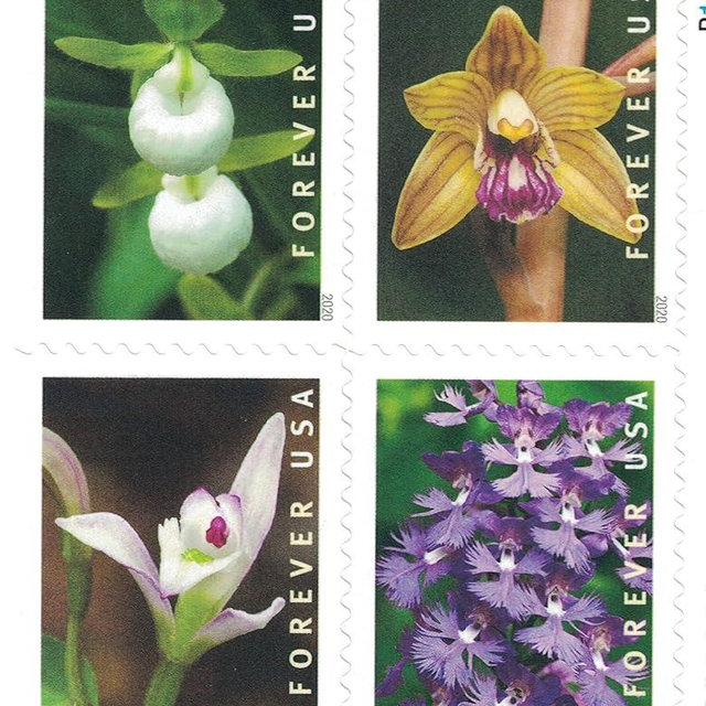 Wild Orchids Flowers (Booklet of 20) First-Class Mail Forever Postage Stamps 2020 Scott 5445-5454