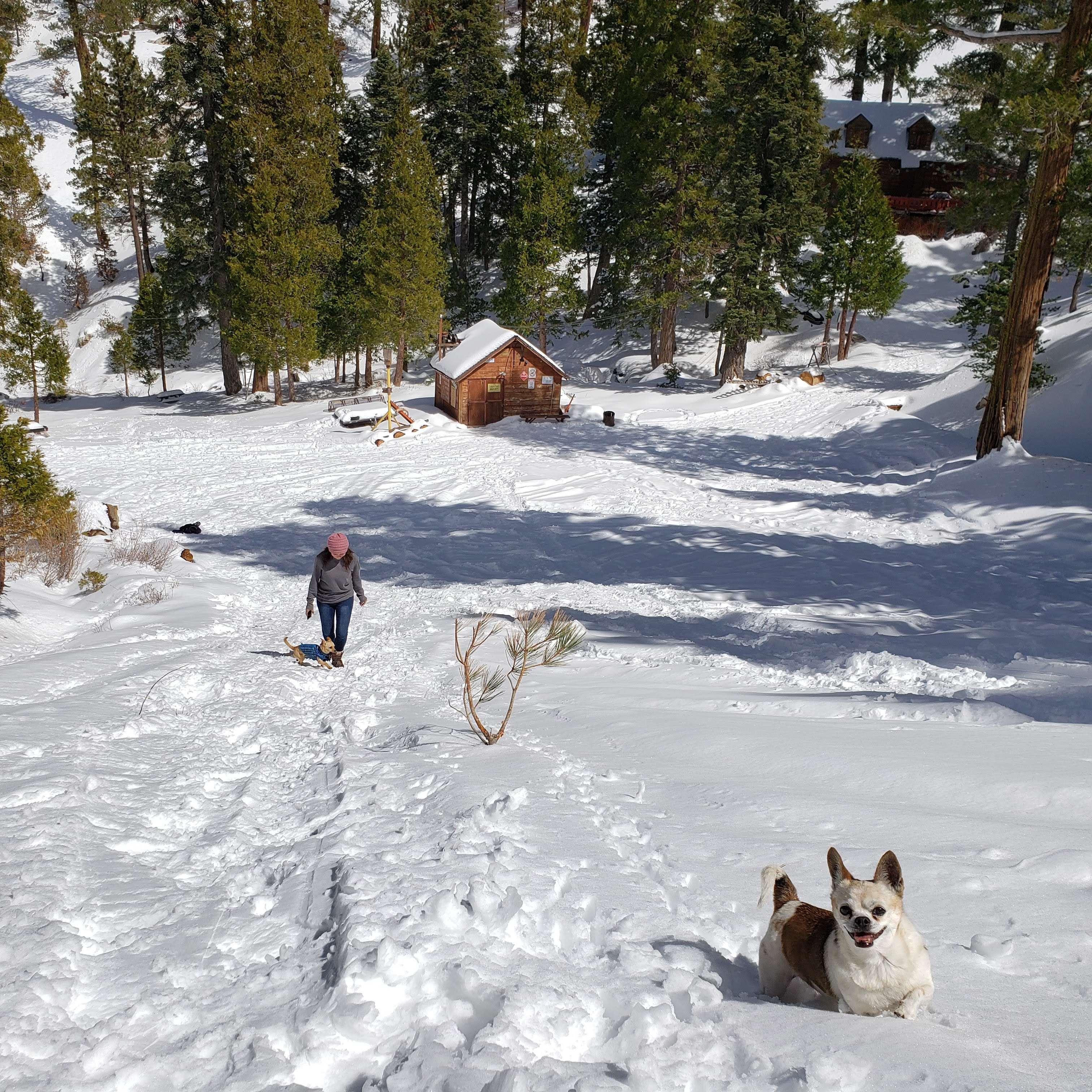 Some fun in the snow.