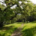 Olompali State Historic Park