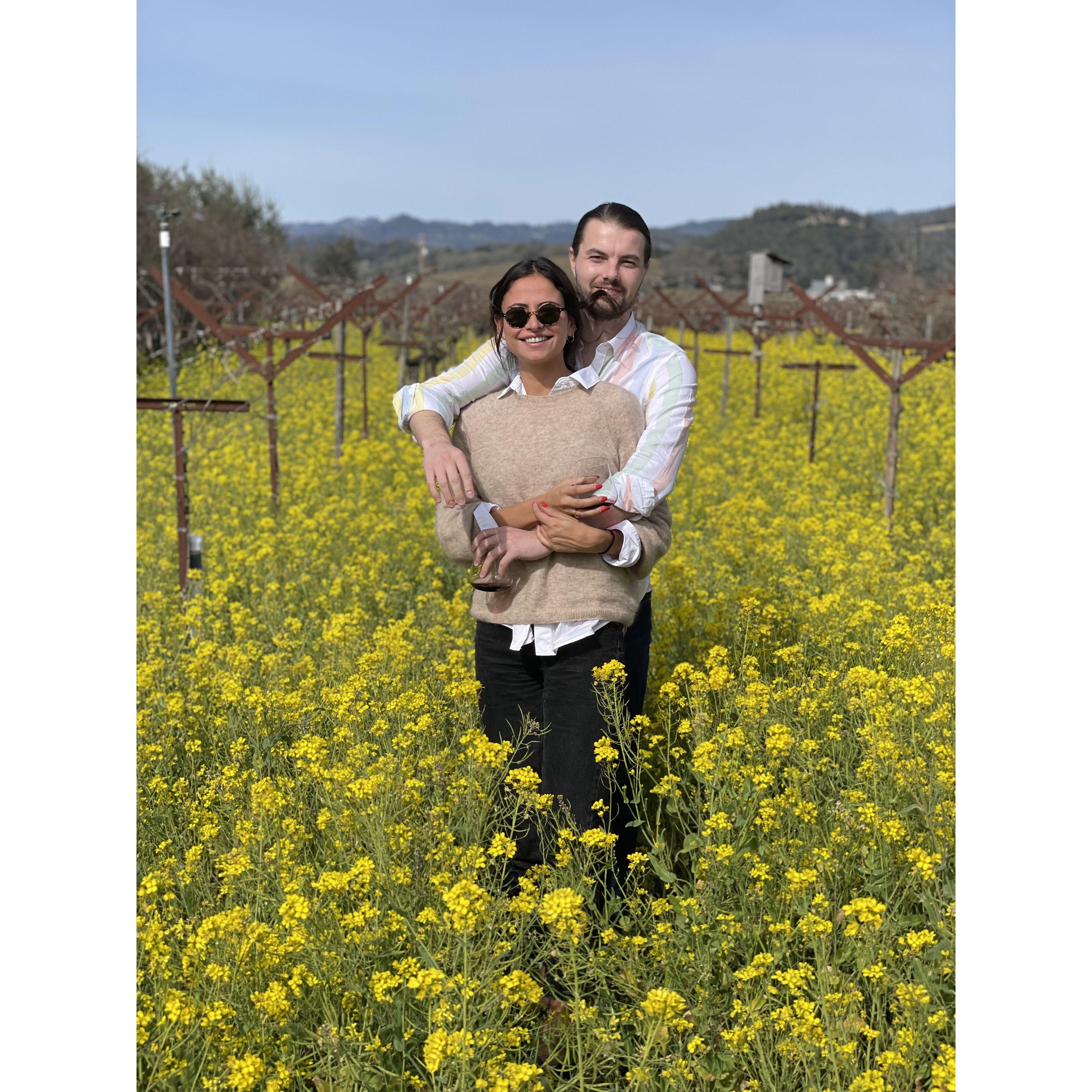 Fall 2022 — enjoying the mustard blooms in Napa