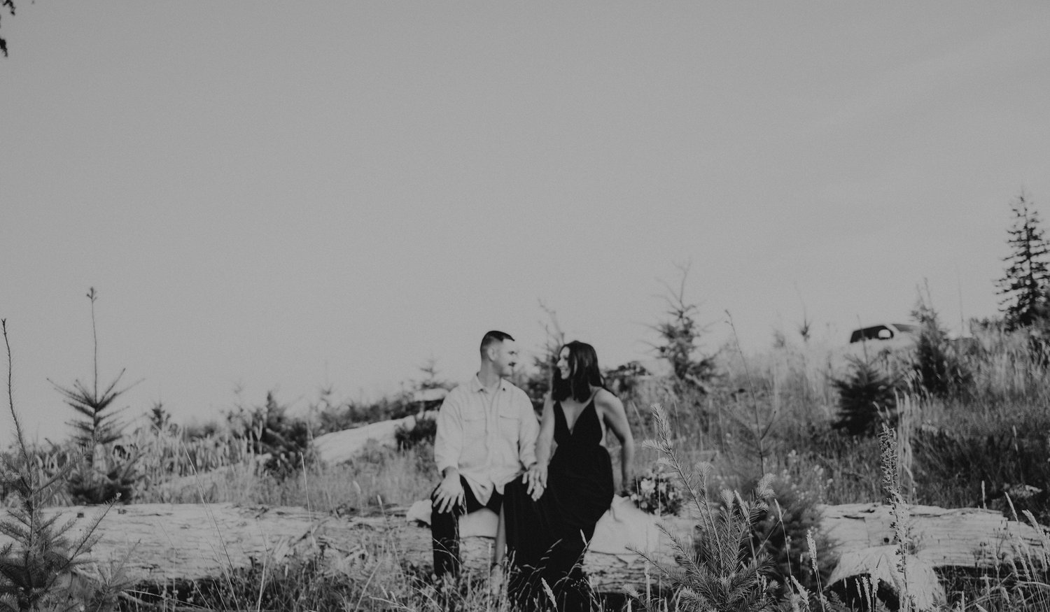 Footer image