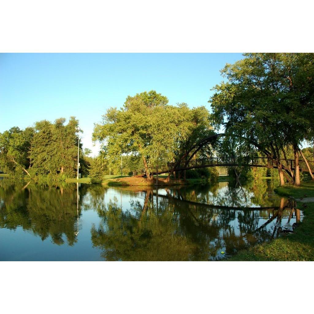 Tenney Park has several beautiful bridges.