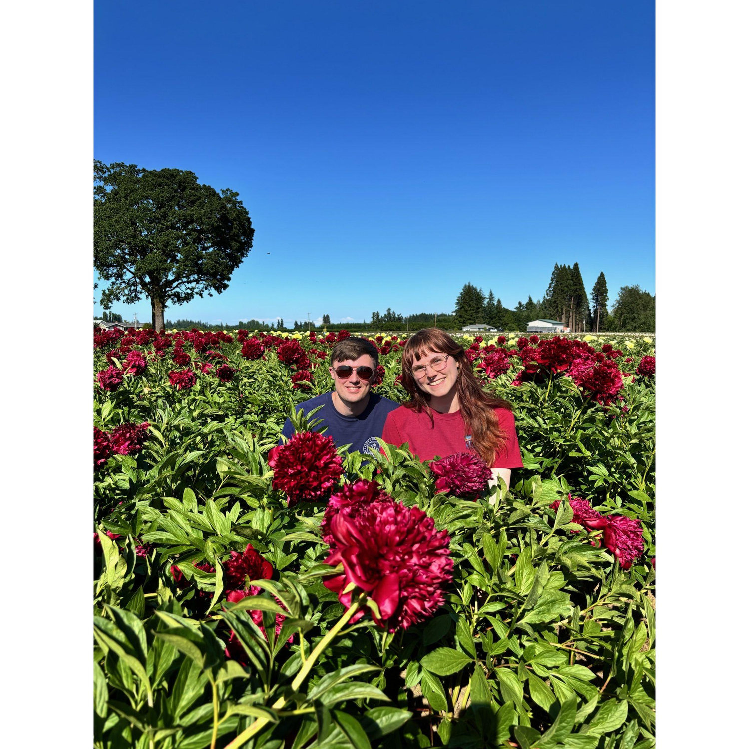 Flower Gardens, Willamette Valley, OR