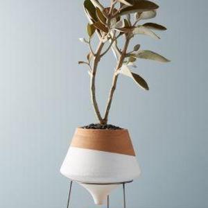 Dipped Clay Pot + Stand