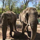 Utah's Hogle Zoo
