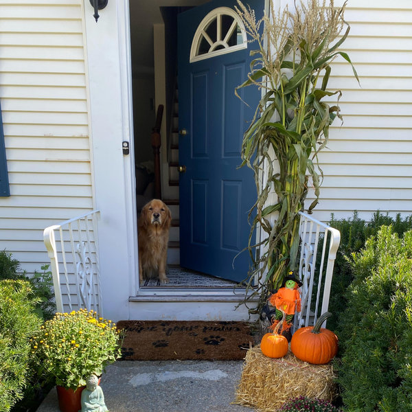 Home Project Fund
