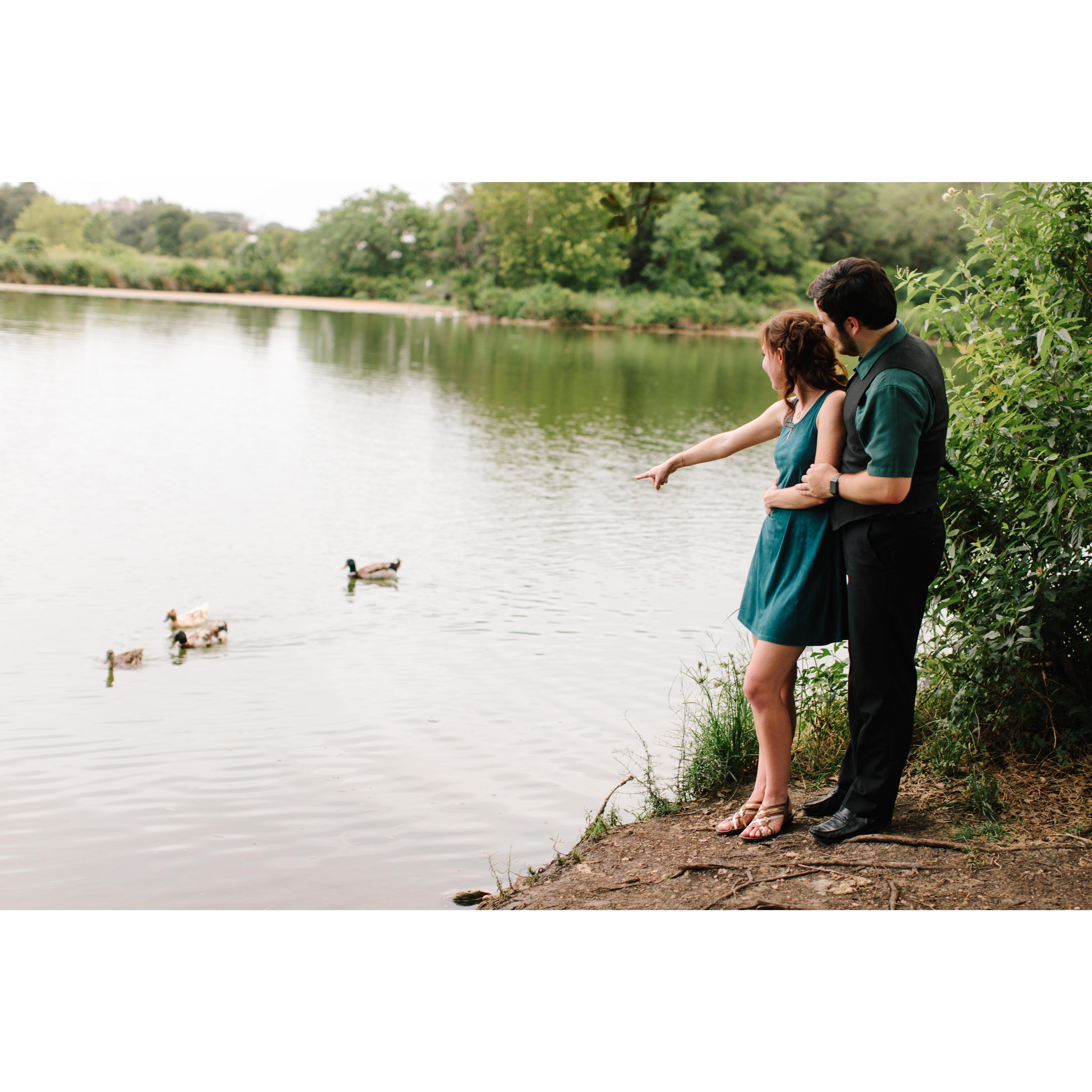 These ducks followed us around almost the entire shoot!