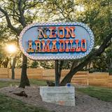 Neon Armadillo