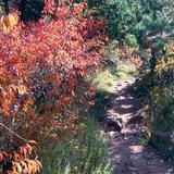 Gregory Canyon Trailhead