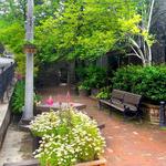 Herschel Young Park