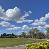 Meadow Lake Farm: Golf & lawn adventures