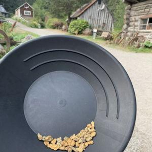 ⚒️ Gold Panning Experience