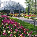 Missouri Botanical Garden