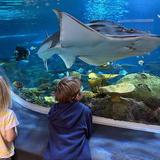 Seattle Aquarium