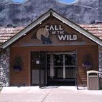 Call of the Wild Museum