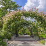 Owen Rose Garden