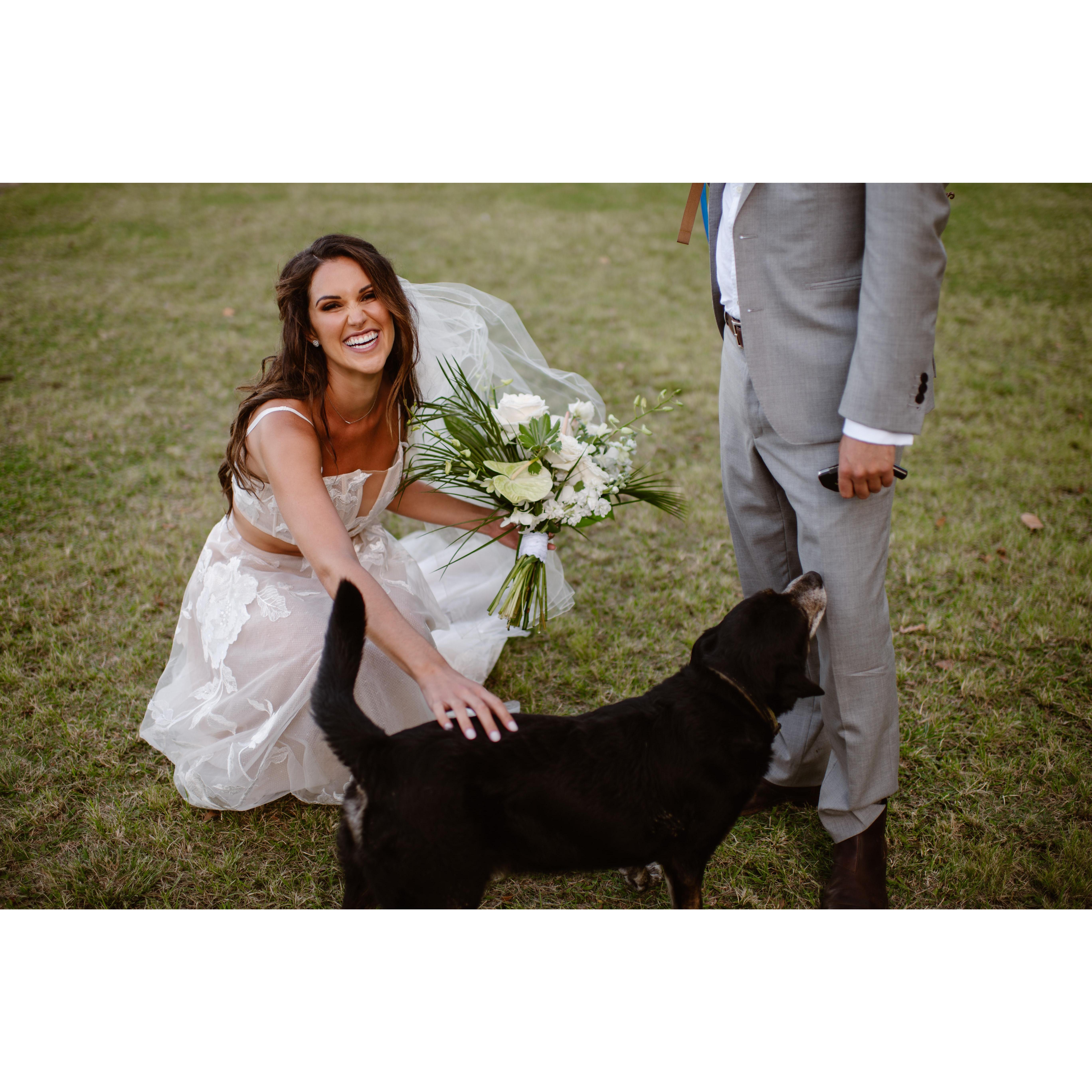 Naturally we found a dog on the beach right before the ceremony, making it truly the perfect day