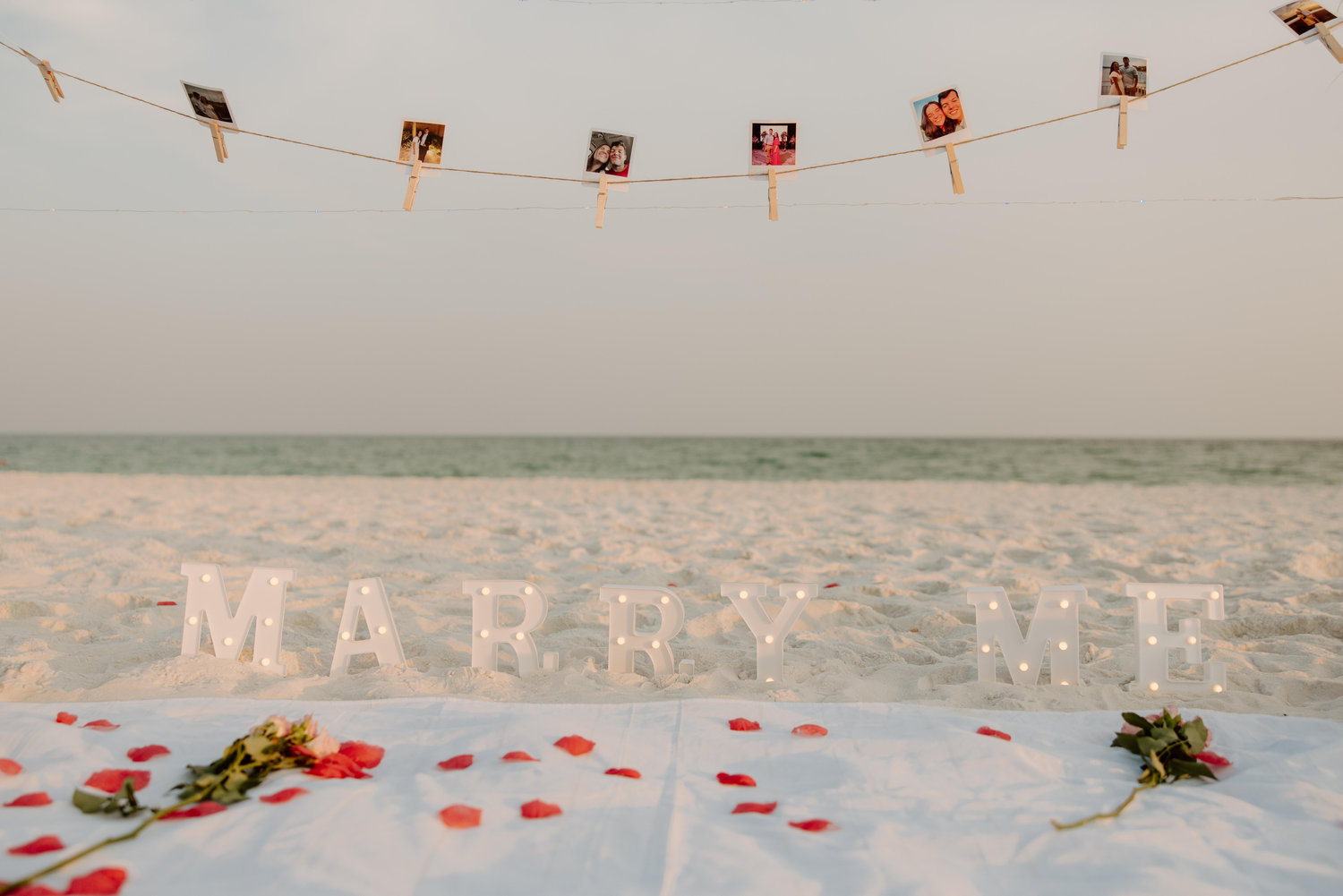 The Wedding Website of Mady Davis and Dylan Lambert