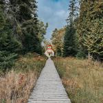 The Ridges Sanctuary