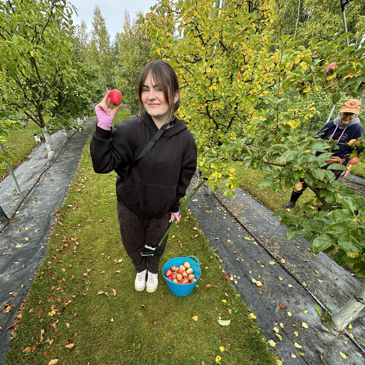 Picking some THICK yummy apples.