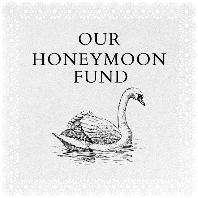 Honeymoon Fund <3