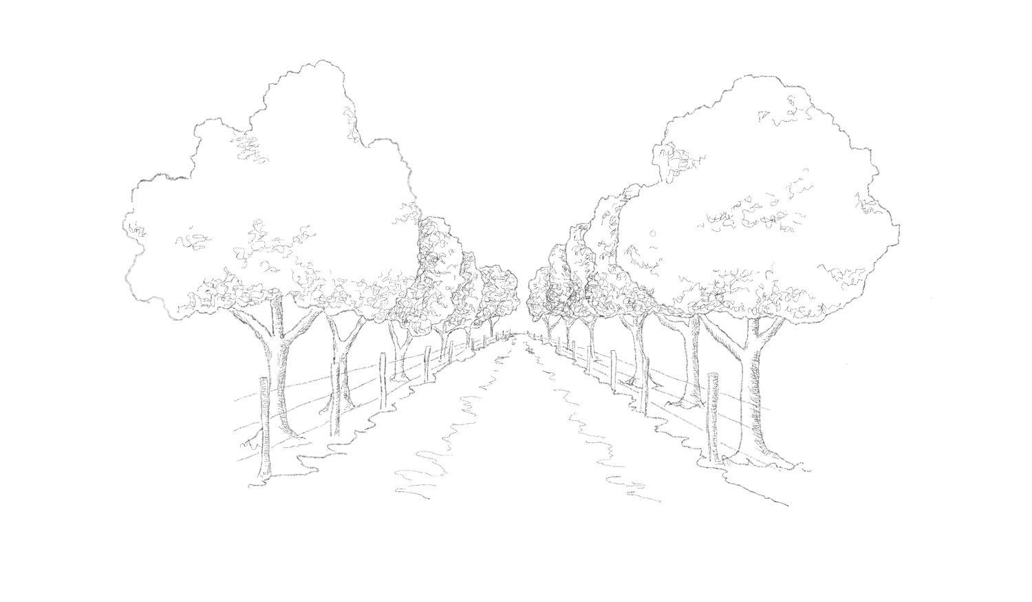 Footer image
