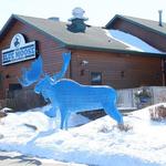 Blue Moose Bar & Grill
