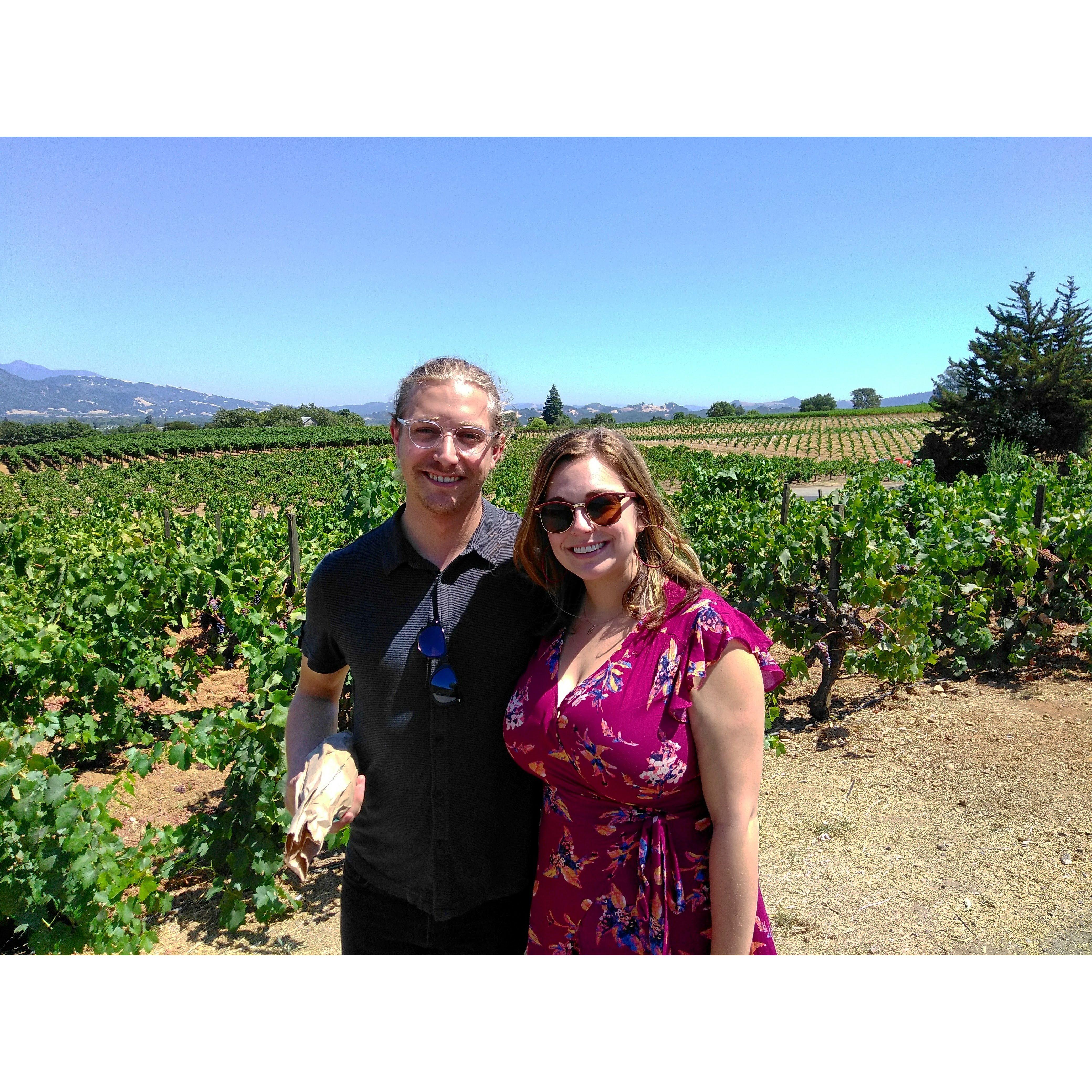 At the Coppola Vineyard and Winery