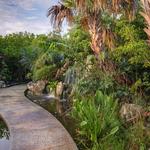 Leon Levy Native Plant Preserve