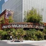 The Dallas World Aquarium