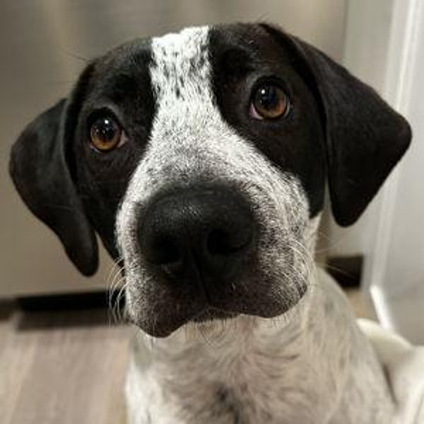Cooper Essentials Fund