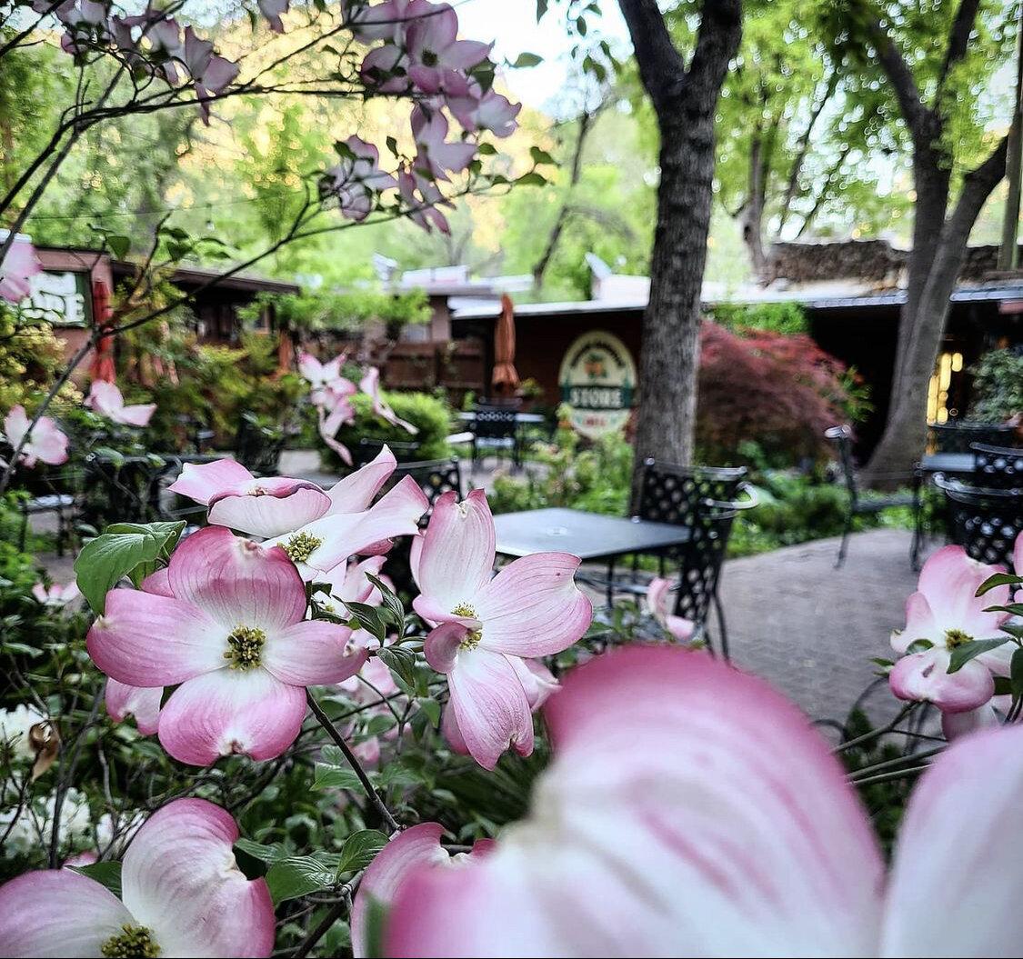 The Wedding Website of Alex Pavon and Josh Paszek