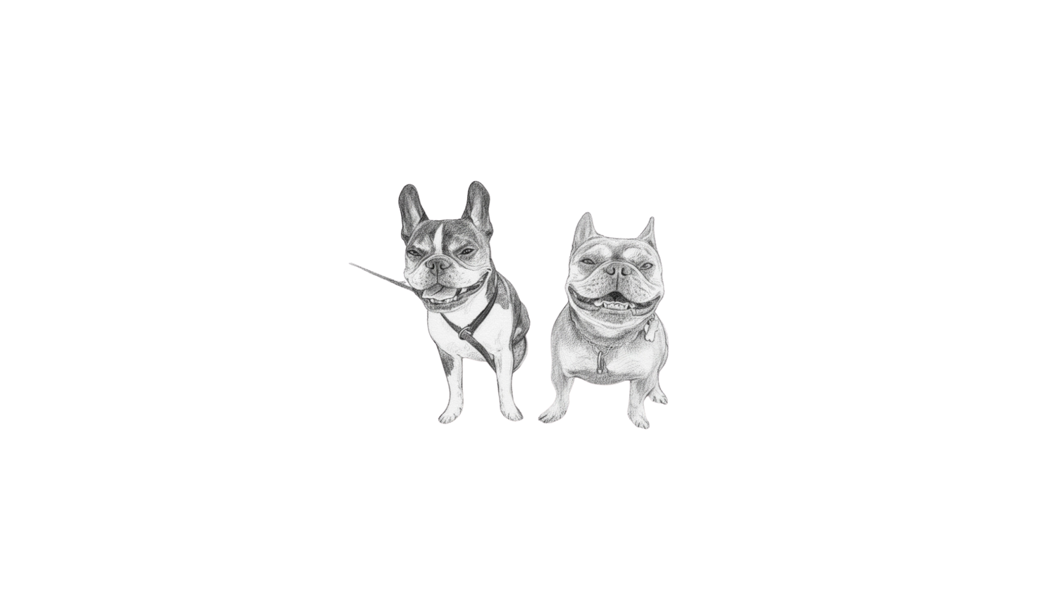 Footer image