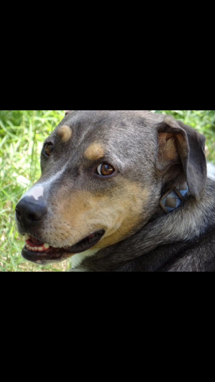Oh, so handsome!!