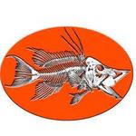 Hogfish