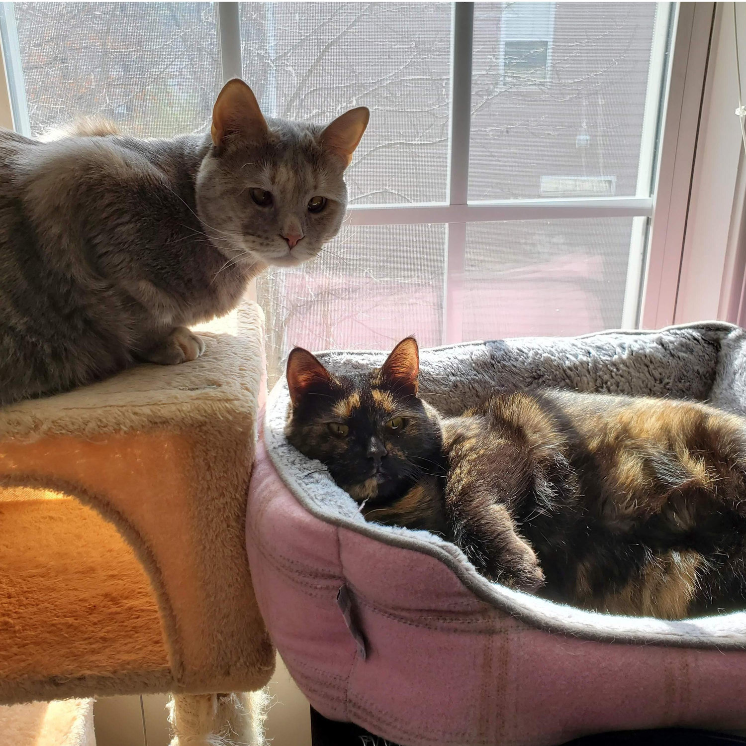 spoiled little brats