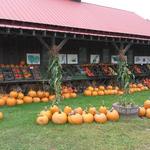 Hartshorn's Organic Farm Stand & Maple Sugar House