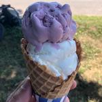 Collins Creamery