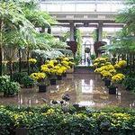 Longwood Gardens