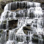 Yellow Branch Falls Trail