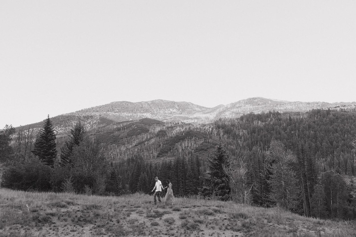 The Wedding Website of Maite Muse and Derek Runge