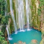 Wild Samana
