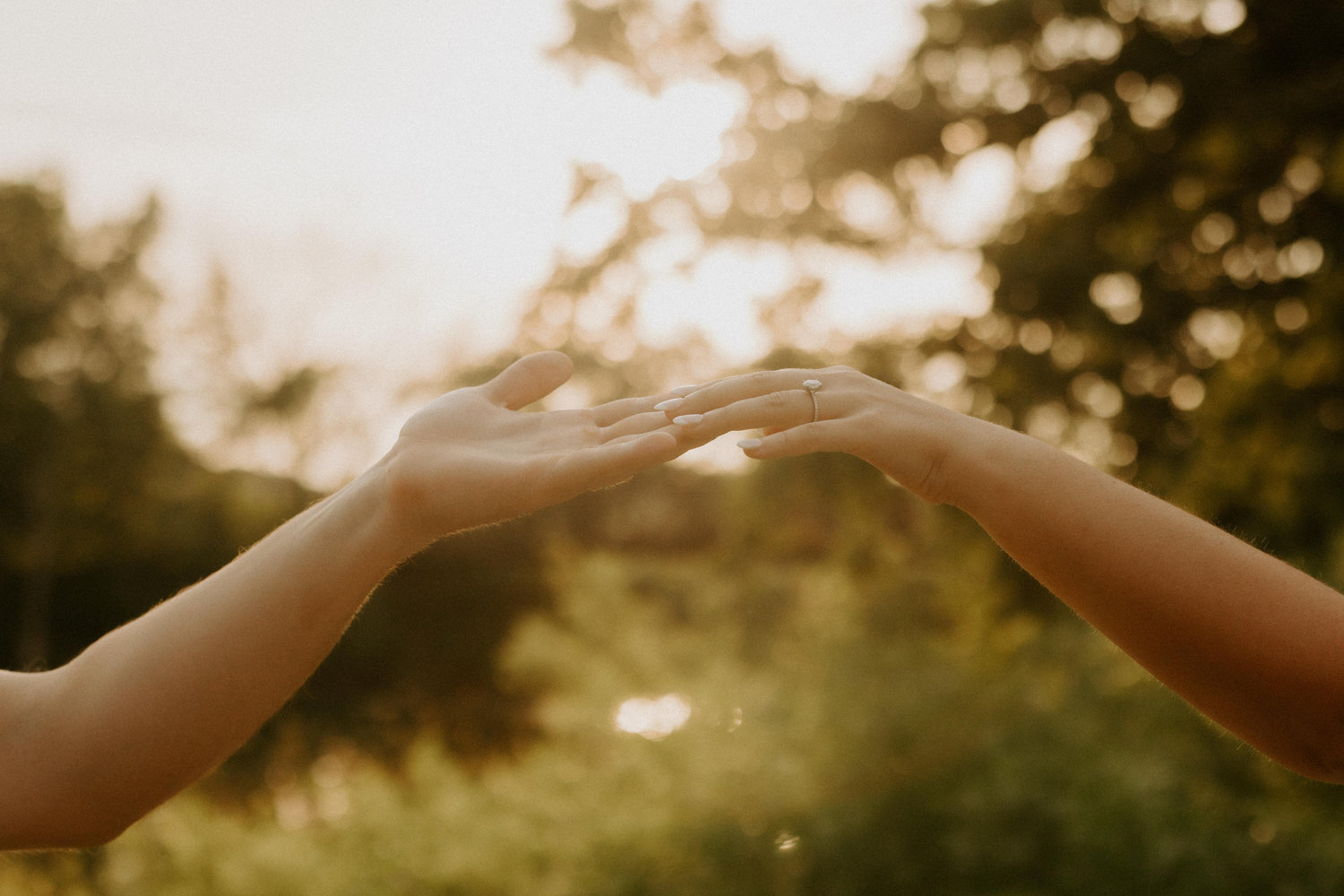The Wedding Website of Elijah Welsh and Aleesha Jantzen