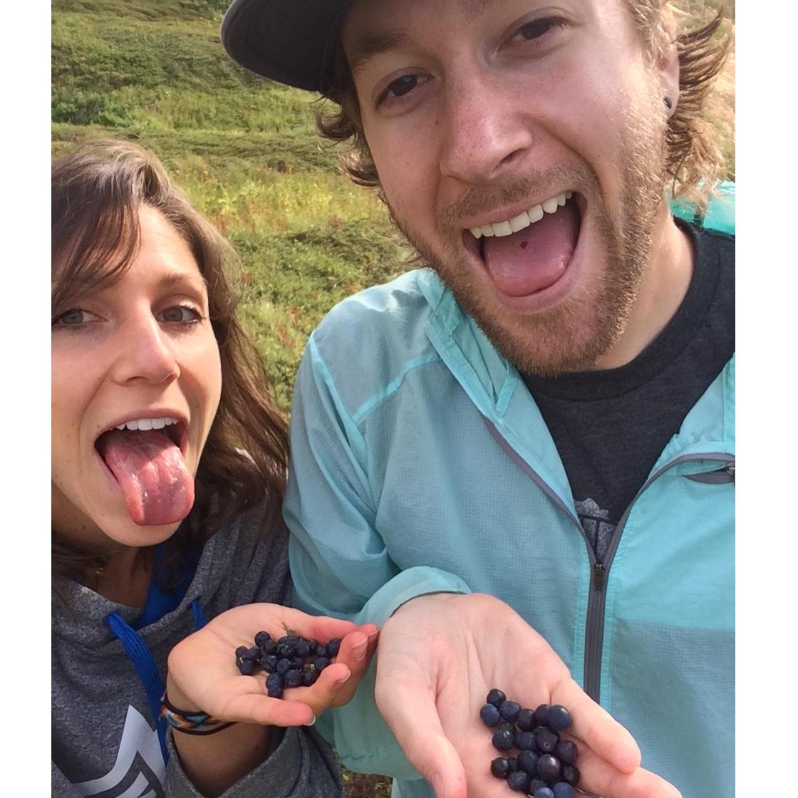Blueberries! There will be plenty for you to pick come September.