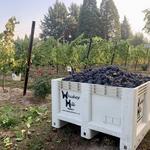 Whiskey Hill Winery
