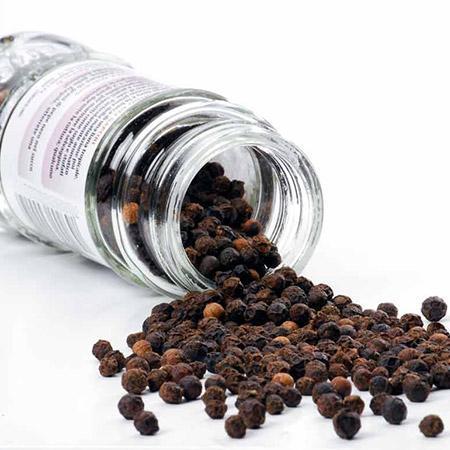Black Pepper Plant