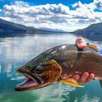 Guided Fishing Tours