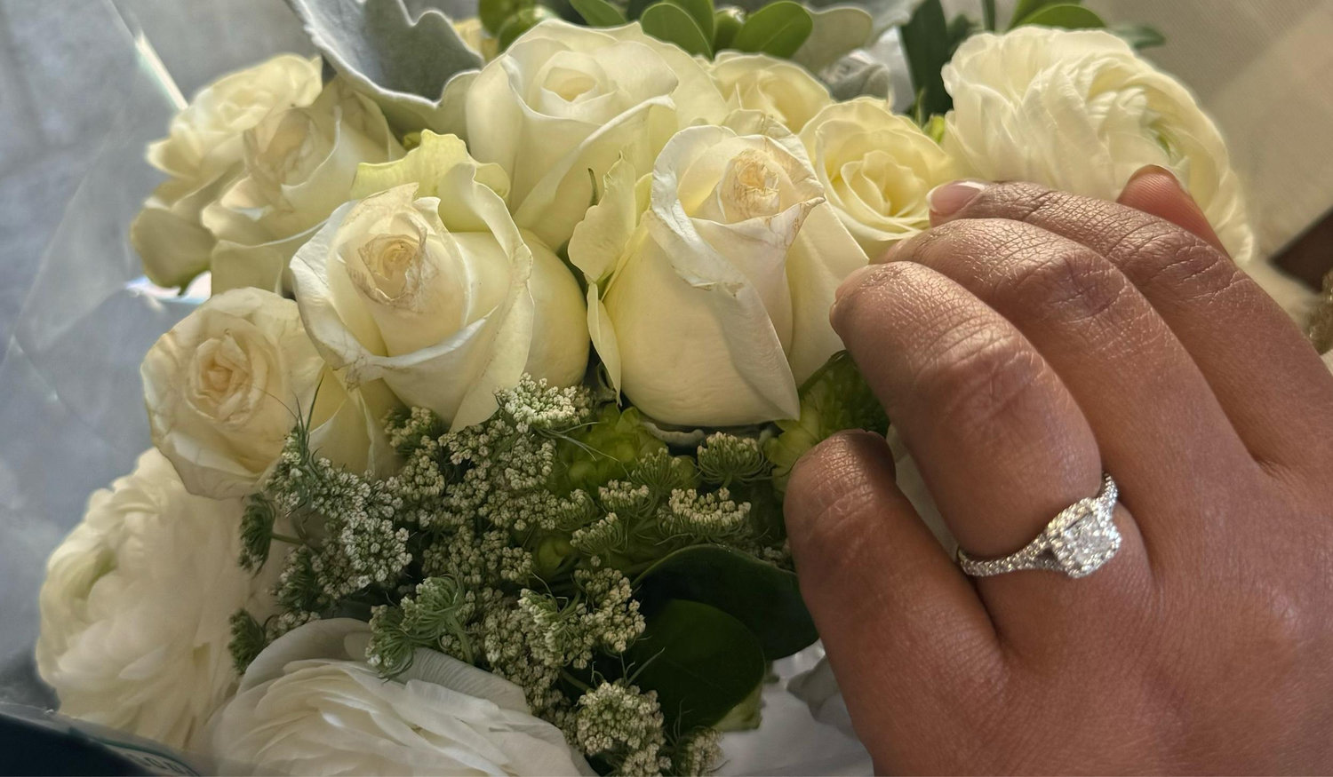 The Wedding Website of Francia Rodriguez and Dimitris Sa’Ponte